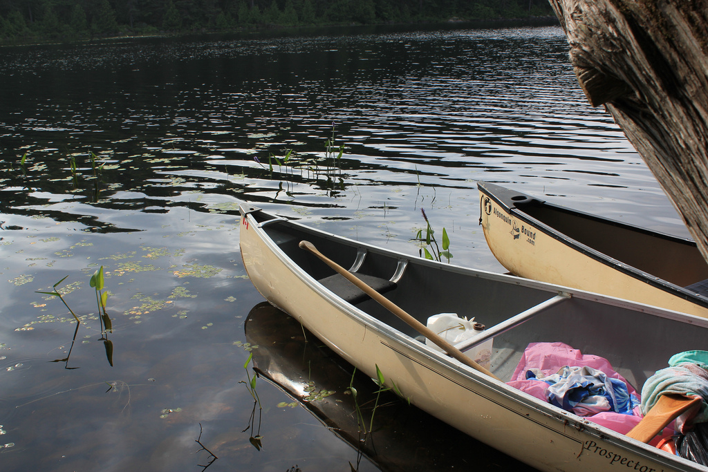 Canoes in Algonquin